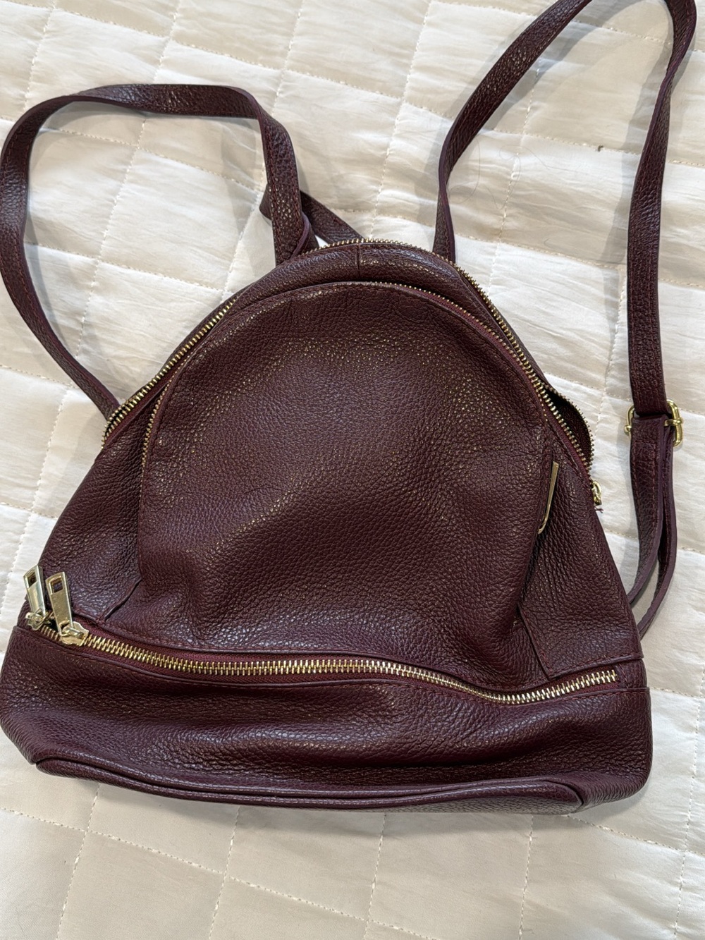 Leather Mini Backpack in Deep Burgundy